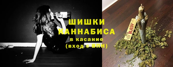 шишки Богданович