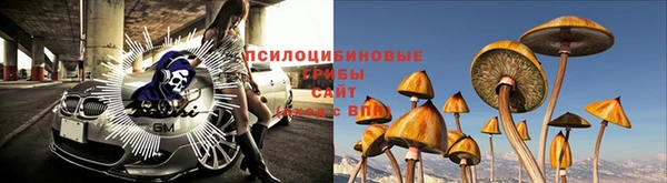 твердый Белоозёрский