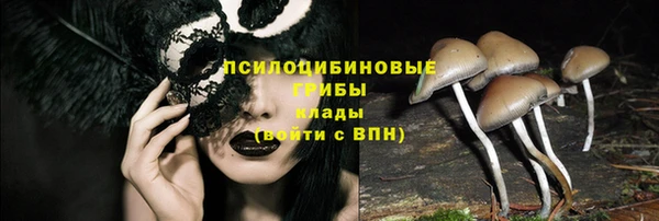 дмт Беломорск