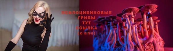дмт Беломорск