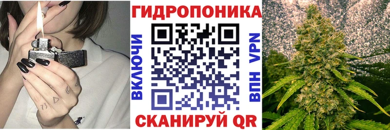 Бошки Шишки SATIVA & INDICA Клин